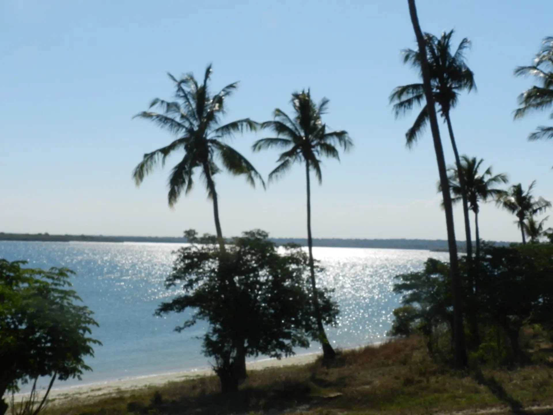 Northern Mozambique Itinerary: beach,wildlife &history