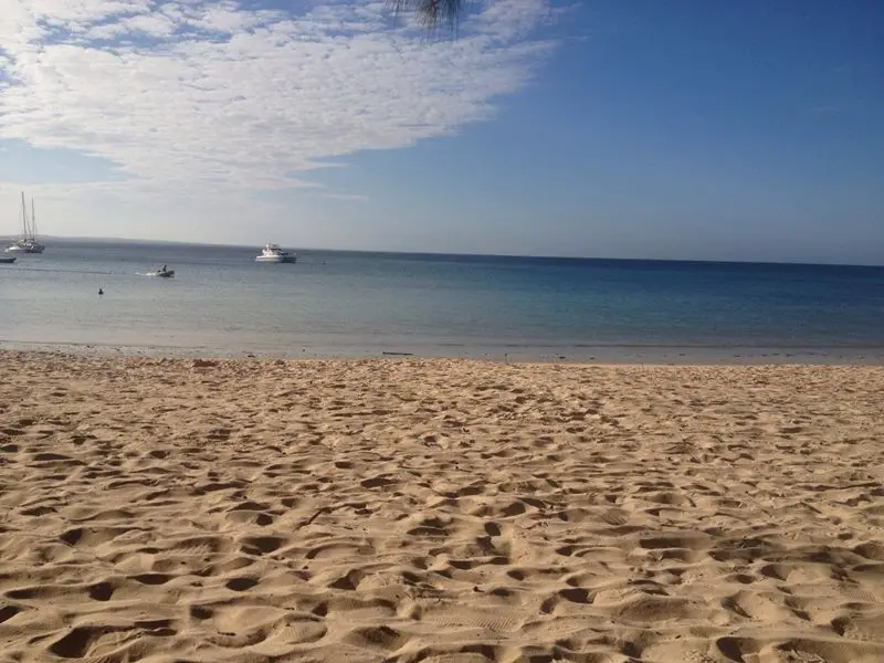 wimbe beach pemba
Photo: Charline wimbe beach pemba Photo: Charline